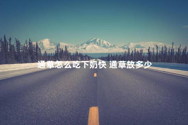 通草怎么吃下奶快 通草放多少